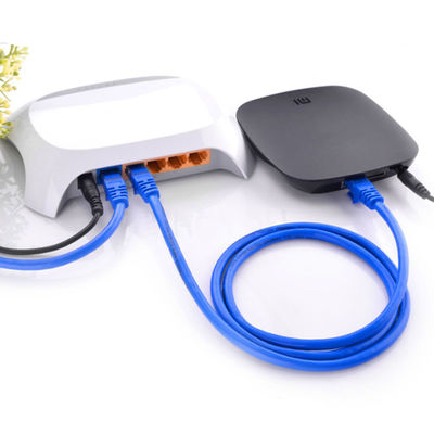 Computer RJ45 Connector 6.0mm Cat6e Patch Cable PVC Jacketed Network Patch Cord