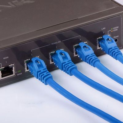 10pack Short CAT6 Patch Cords Blue 3ft with 8 Conductors  Customized